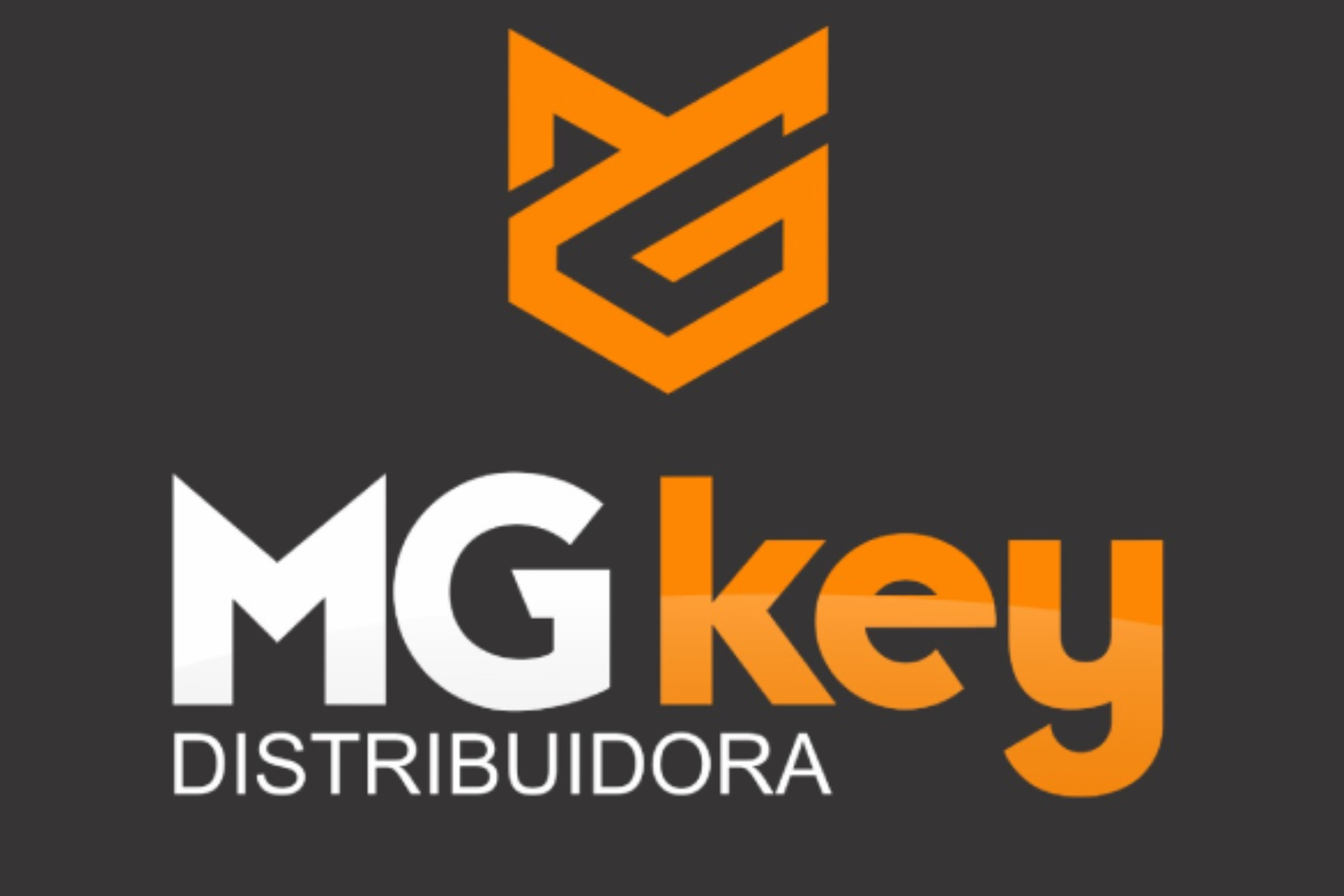 Novo Projeto (13)